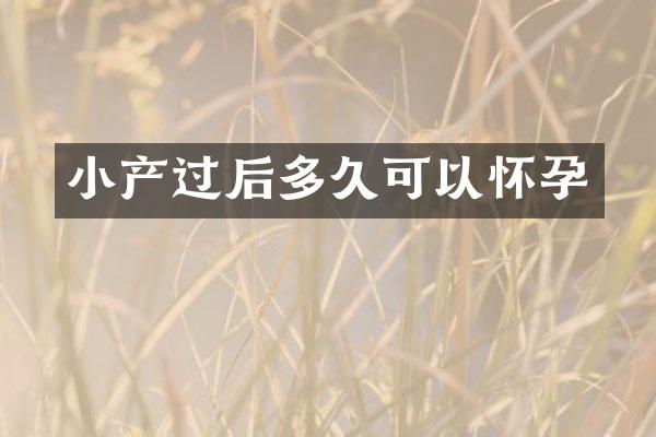 小产过后多久可以怀孕