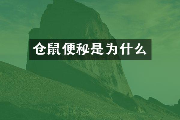 仓鼠便秘是为什么