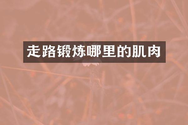 走路锻炼哪里的肌肉