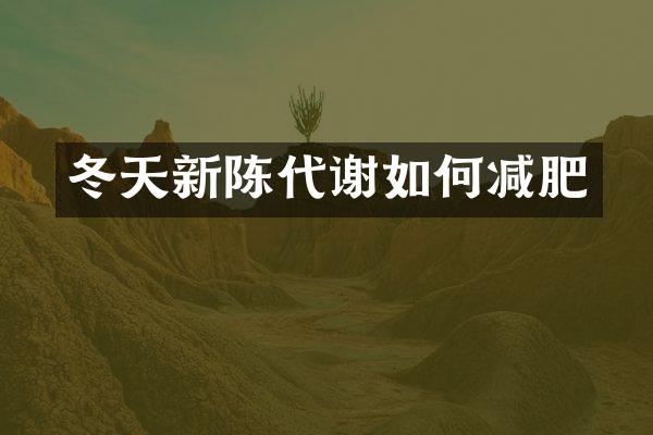 冬天新陈代谢如何减肥