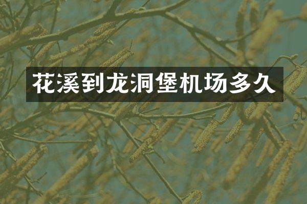 花溪到龙洞堡机场多久