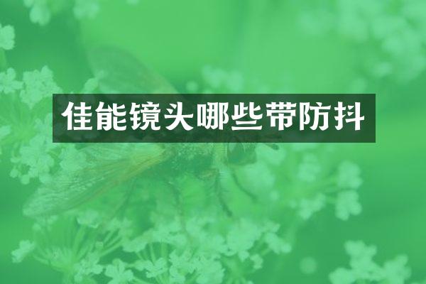 佳能镜头哪些带防抖