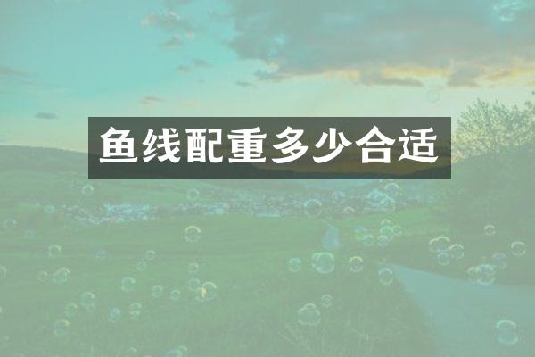 鱼线配重多少合适