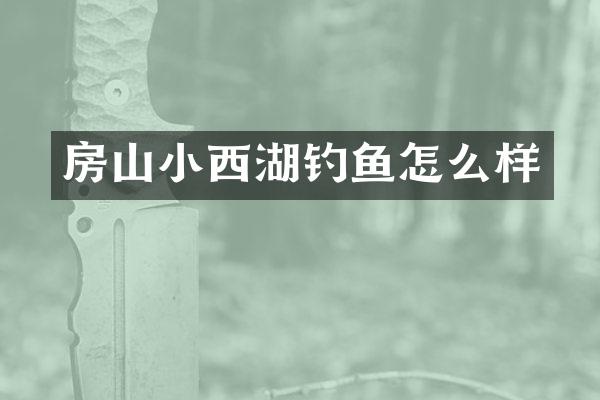 房山小西湖钓鱼怎么样