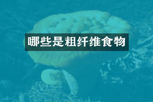 哪些是粗纤维食物