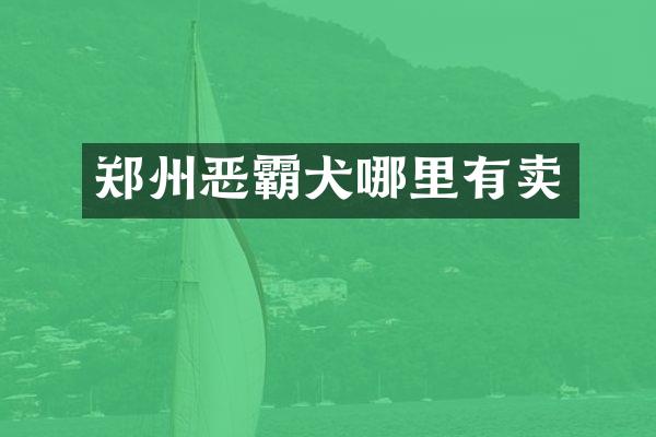 郑州恶霸犬哪里有卖