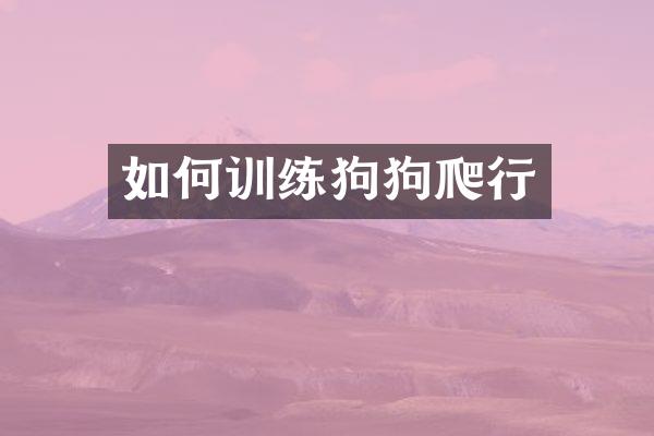 如何训练狗狗爬行