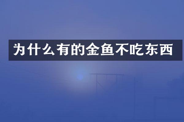 为什么有的金鱼不吃东西