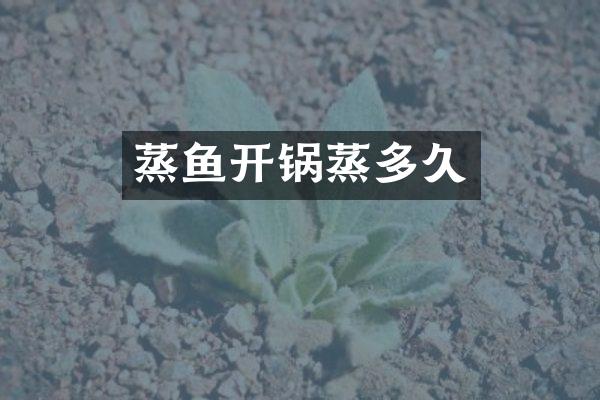 蒸鱼开锅蒸多久