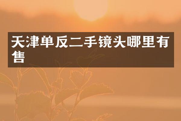 天津单反二手镜头哪里有售