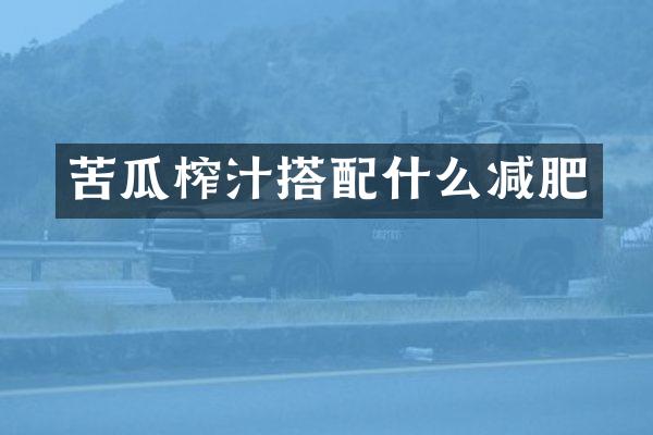 苦瓜榨汁搭配什么减肥