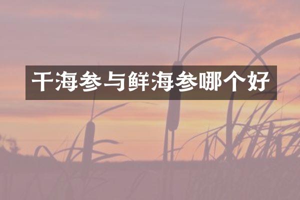 干海参与鲜海参哪个好