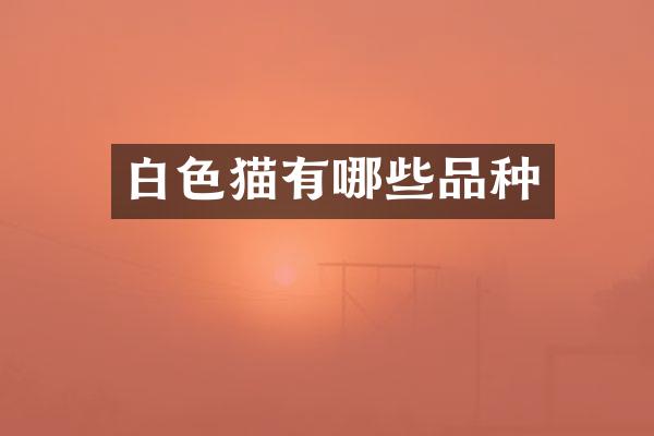 白色猫有哪些品种