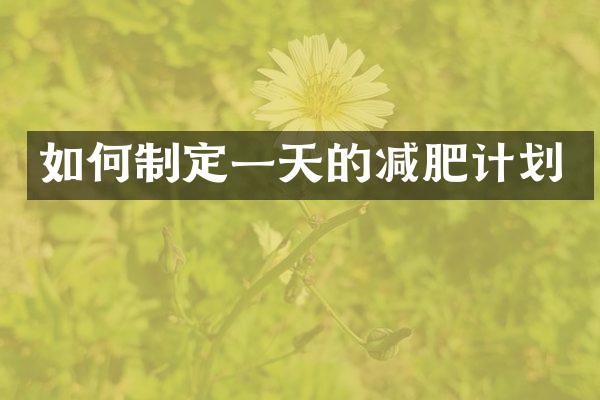 如何制定一天的减肥计划
