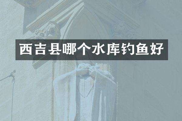 西吉县哪个水库钓鱼好