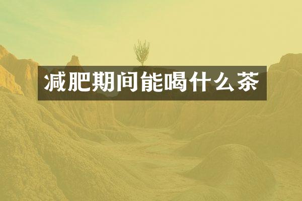 减肥期间能喝什么茶