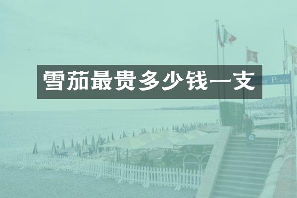 最贵多少钱一支