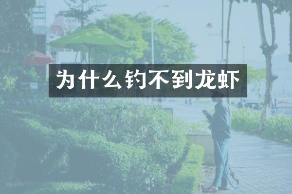 为什么钓不到龙虾