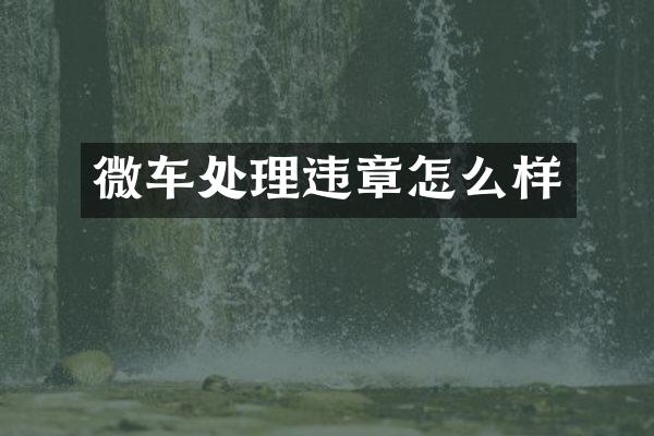 微车处理违章怎么样