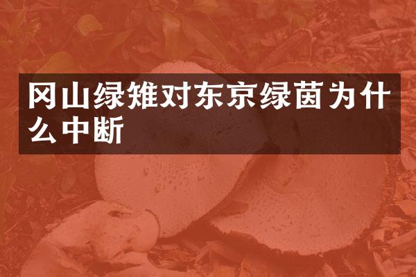 冈山绿雉对东京绿茵为什么中断