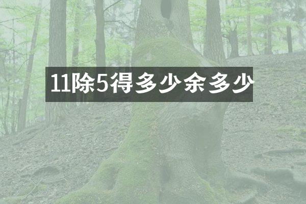 11除5得多少余多少
