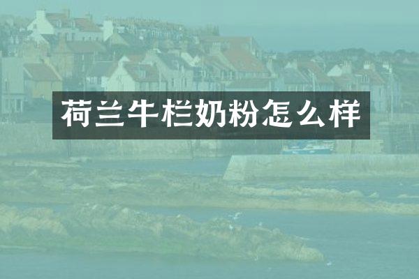 荷兰牛栏奶粉怎么样