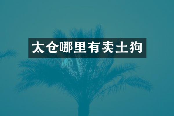 太仓哪里有卖土狗