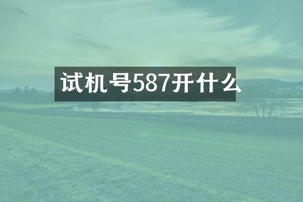 试机号587开什么