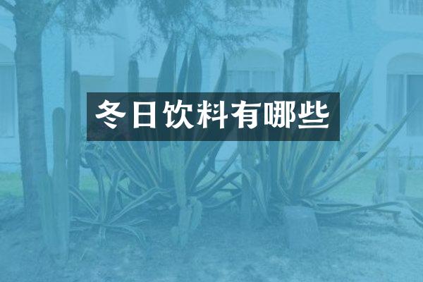 冬日饮料有哪些