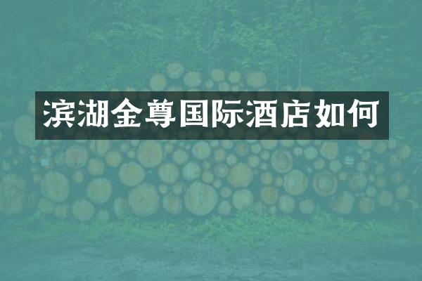 滨湖金尊国际酒店如何