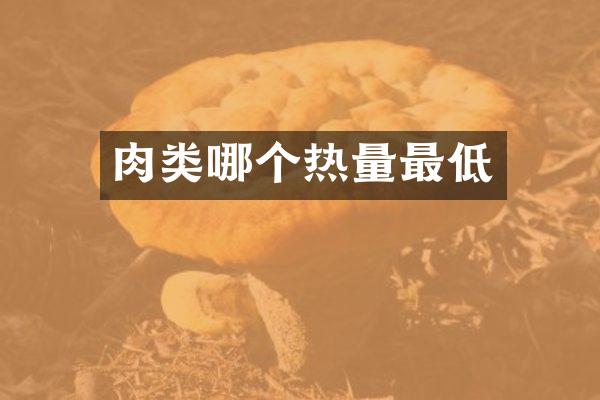 肉类哪个热量最低