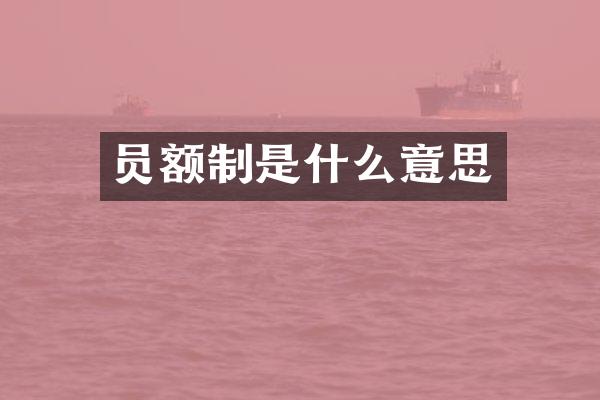员额制是什么意思