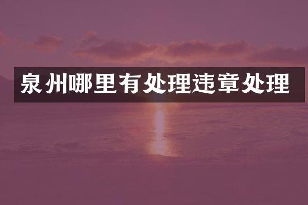 泉州哪里有处理违章处理