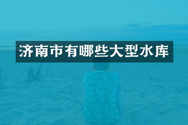 济南市有哪些大型水库