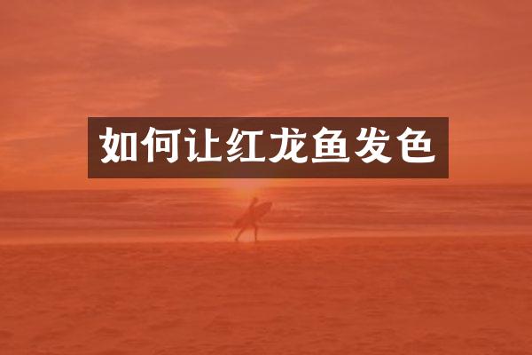 如何让红龙鱼发色