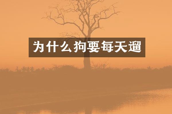 为什么狗要每天遛