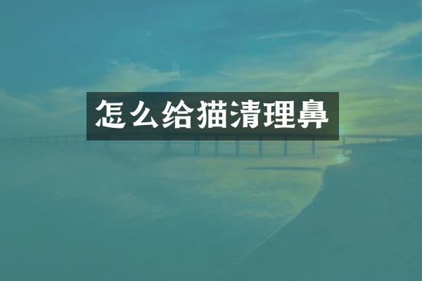 怎么给猫清理鼻