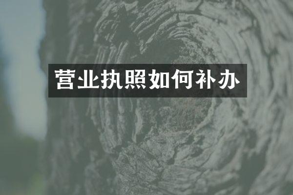 营业执照如何补办