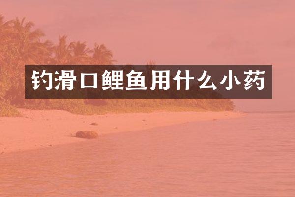 钓滑口鲤鱼用什么小药