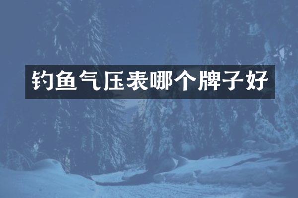 钓鱼气压表哪个牌子好
