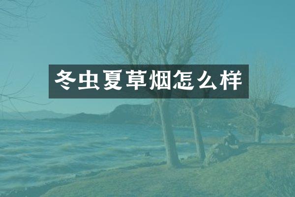 冬虫夏草烟怎么样
