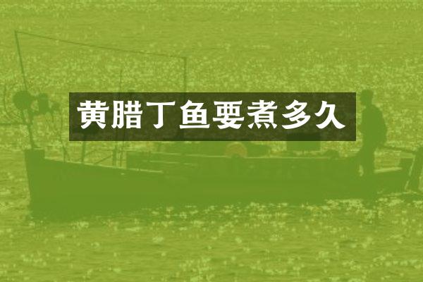 黄腊丁鱼要煮多久