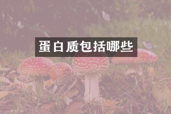 蛋白质包括哪些