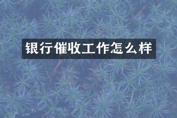 银行催收工作怎么样