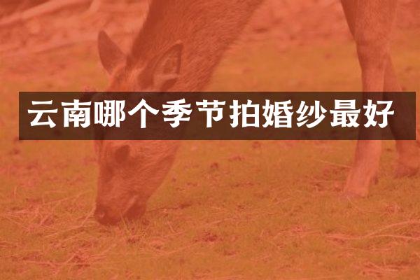 云南哪个季节拍婚纱最好