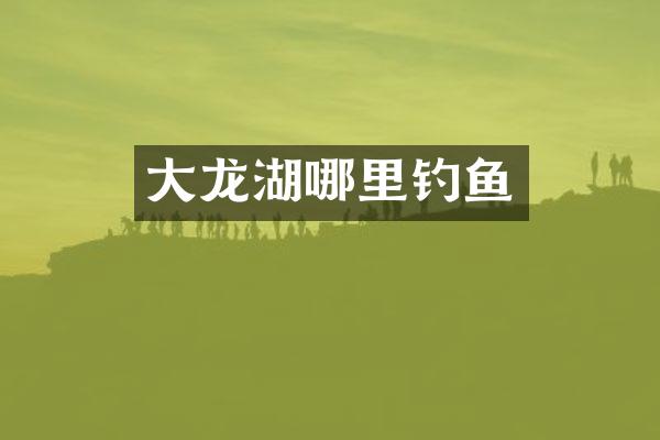 大龙湖哪里钓鱼