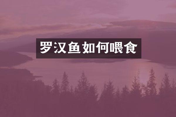 罗汉鱼如何喂食