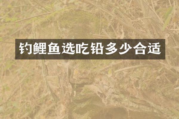 钓鲤鱼选吃铅多少合适