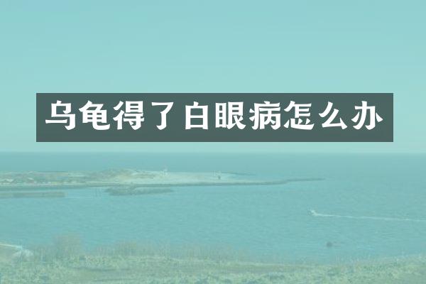 乌龟得了白眼病怎么办