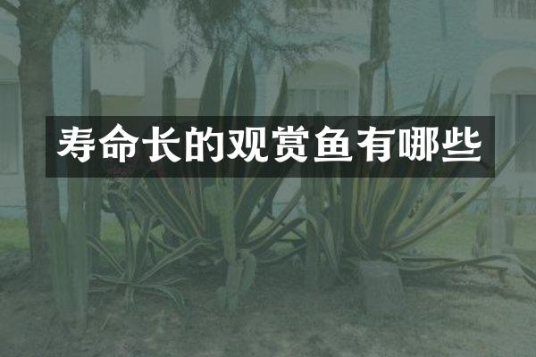 寿命长的观赏鱼有哪些